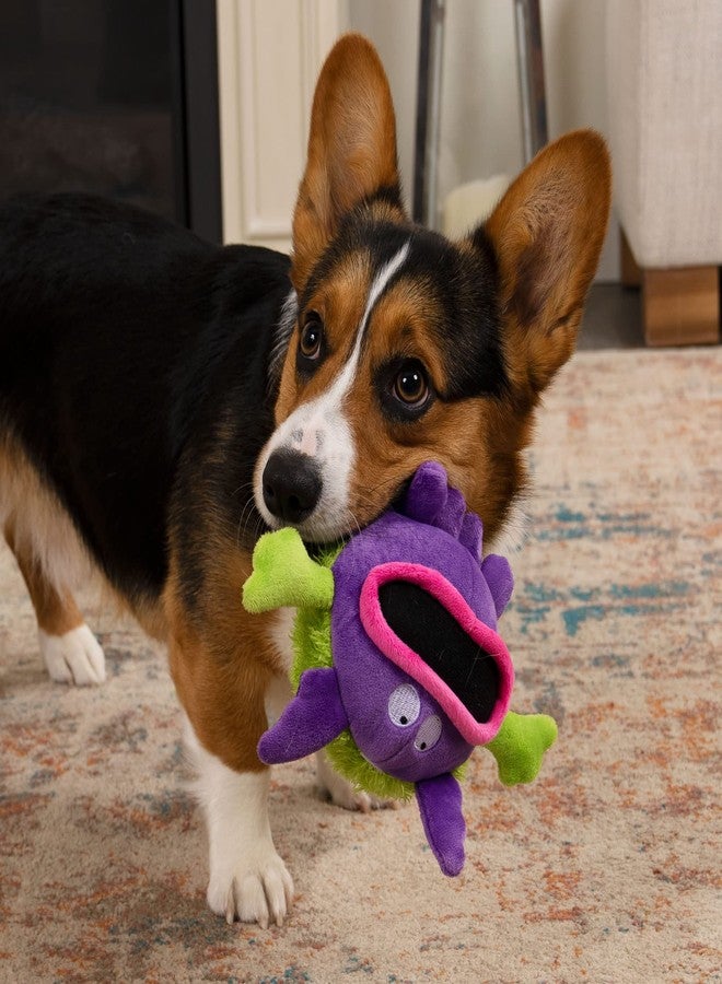 جو دوج لعبة الكلاب القطيفة من جو دوغ بلاي كلين جيرمز، تصدر صوتاً عند الضغط عليها، مزودة بزيوت عطرية مزيلة للروائح، وتقنية حماية من المضغ - بنفسجي، صغير - Image 3